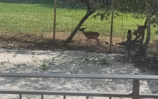 Alloggio e agriturismo De POANUTE