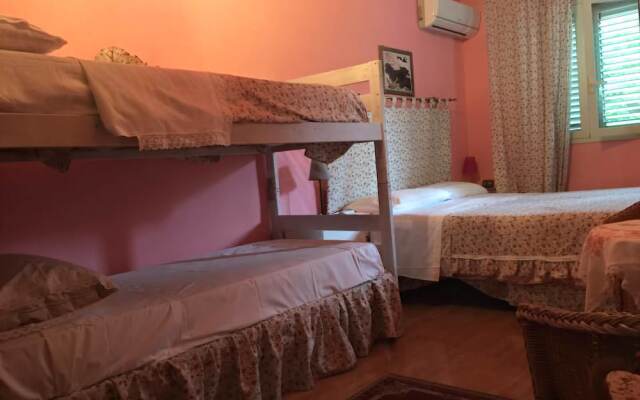B&B Xenia