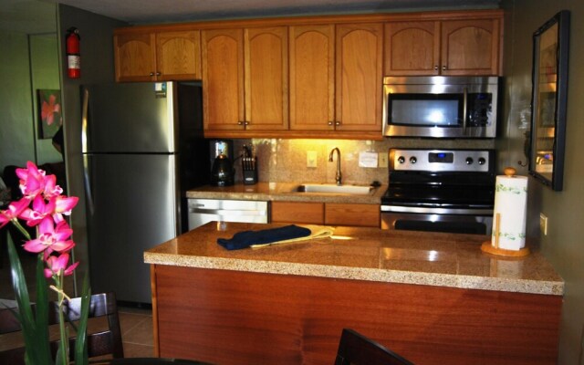 Apartment Kihei Kai Nani 1 Bedroom Maui