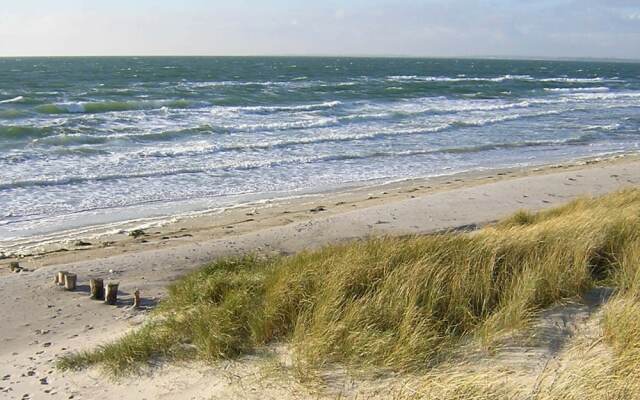 Attractive Holiday Home in Humble Denmark With Barbecue