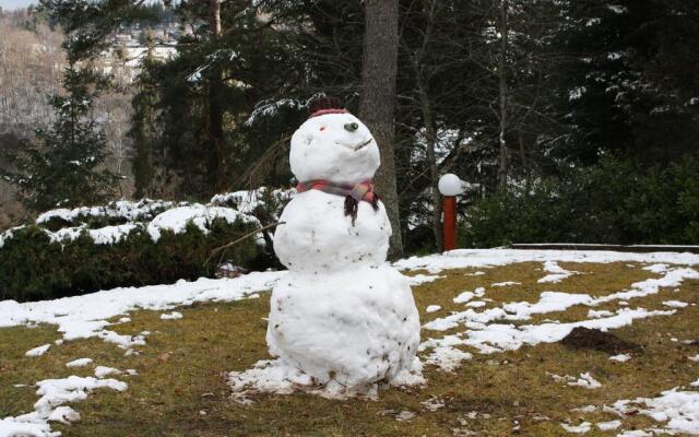 Volcans Vacances Les Chalets Du Lac