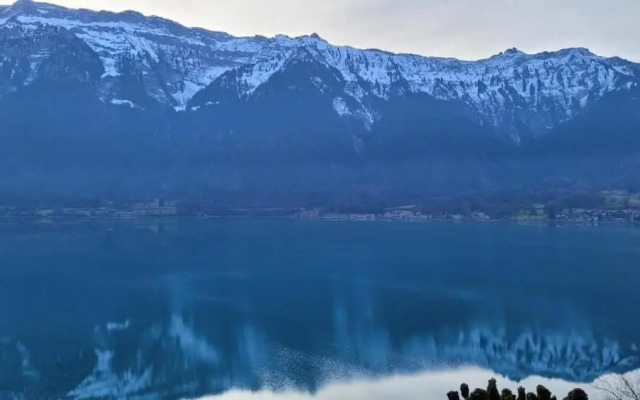 The Hotel Alpina