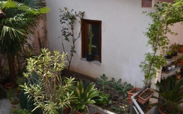 Casa del Cedro - Cedar House