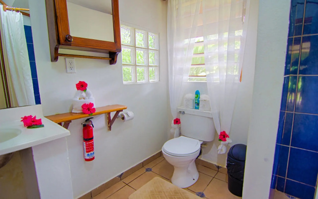 Bocawina Rainforest Resort & Adventures