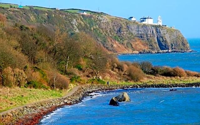 Whitehead Bed and Breakfast