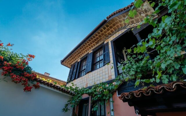 The Zoev House