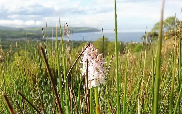 GlenHaven Holiday Accommodation