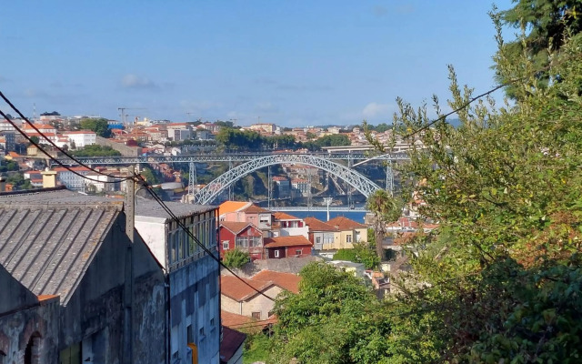Vitoria Douro 2
