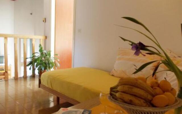 Holiday Home Primosten (54)