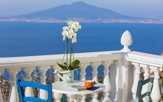 Villa Luisa Jacuzzi and Pool