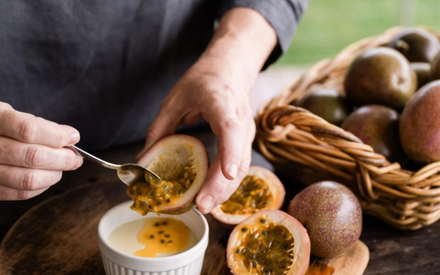 Misty View Cottages Montville