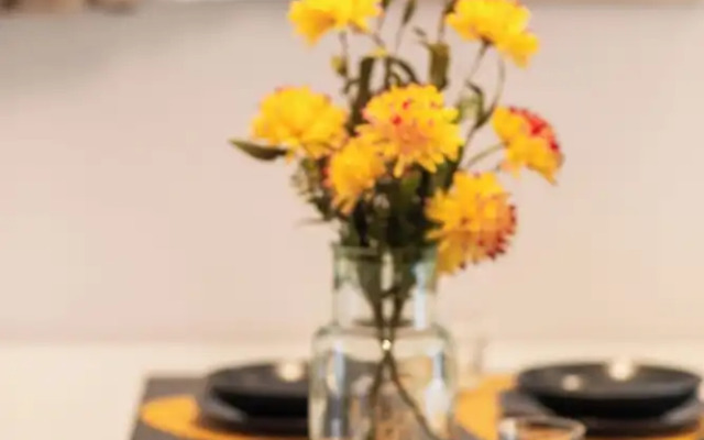 Major House Apartments