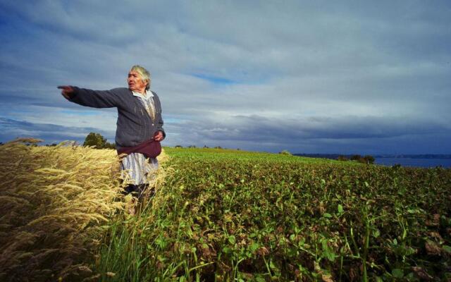 Palafito Del Carpintero