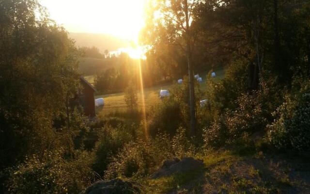 Hjorteskogen