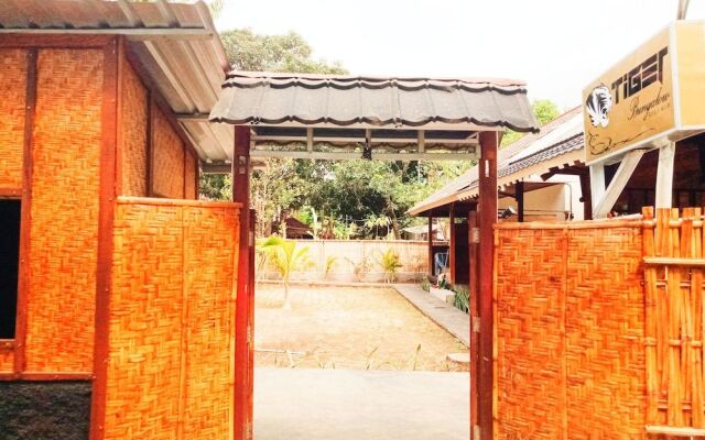 Tiger Bungalow