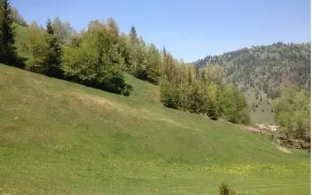 Gyimesi Panorama