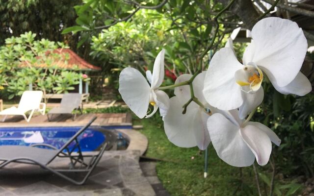 White Orchid Eco Resort