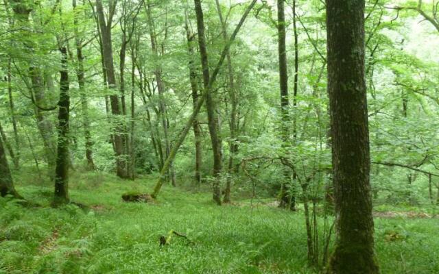 Hotel Torre de Tuña