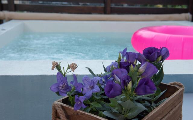 Dandy villas Sky Blue Pansy