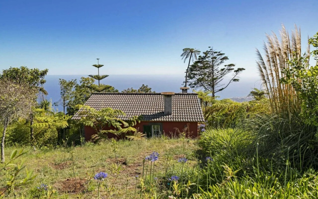 Quinta Devónia III - Nogueira by An Island Apart