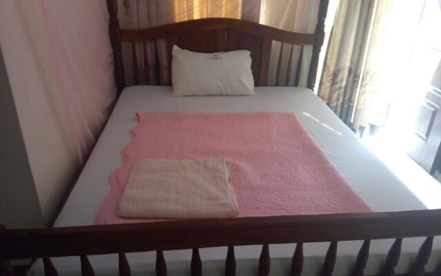 New Lions Hotel