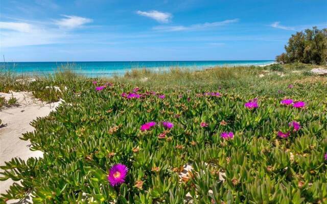 1542 Villetta Playa De Mar