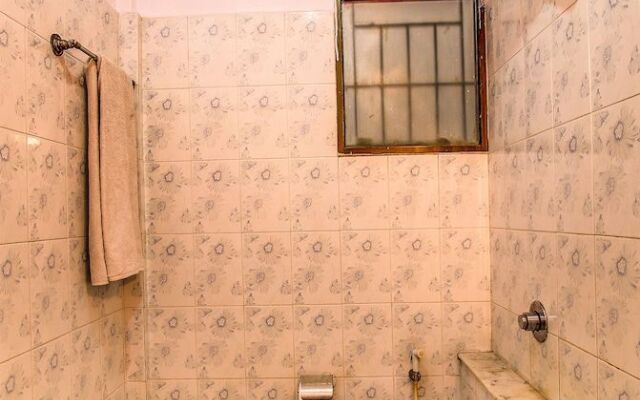 FabExpress Maple Green Deluxe