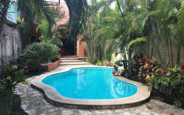 Tranquil Tropical Oasis in the Historic Center