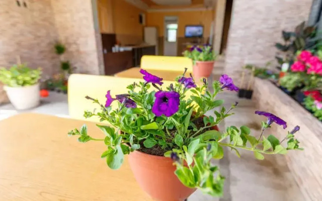 Asya Guest House