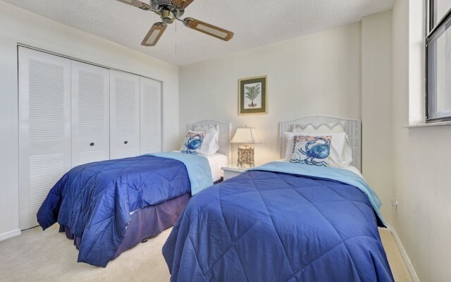 Sand Dollar I 504