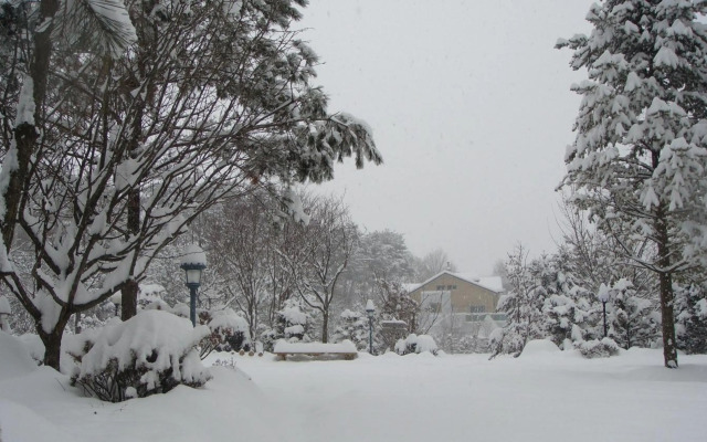 Shinevalley Pension & Hotel