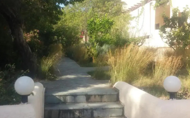 Ζini 2