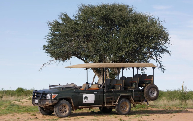 Rockfig Lodge Madikwe