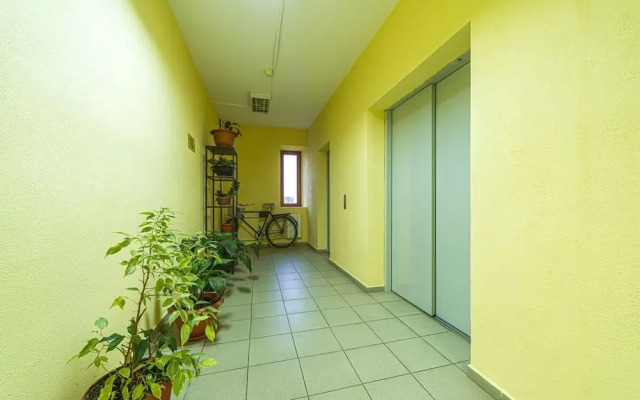 Апартаменты у центра Алмазова 2