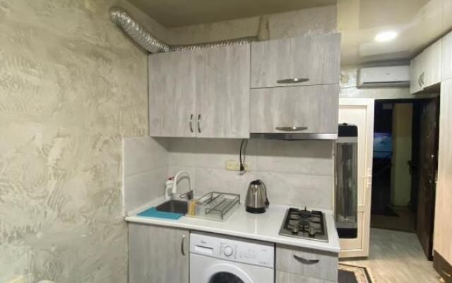 Apartment studio maksim