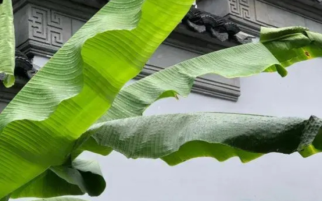 Suzhou Yunshan Courtyard Boutique Homestay