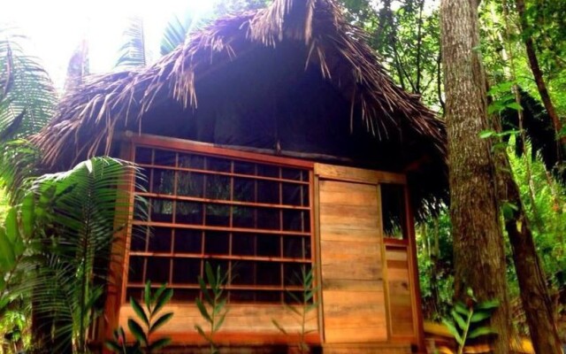 Cacao Rainforest Lodge