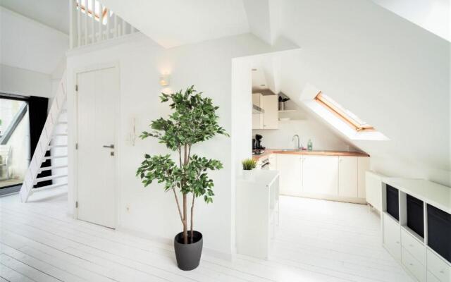 Beautiful Cozy Apartments in the Heart of Antwerp