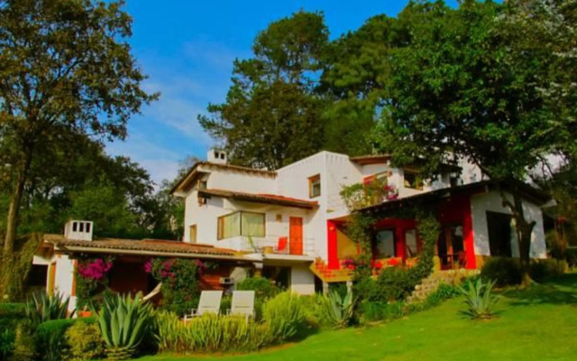 Las Luciérnagas