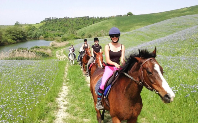 Apartment in Montaione With Carport