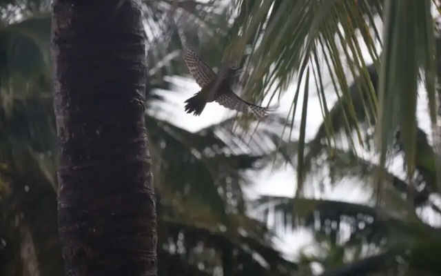 REFUGIO Sabaneta de Yásica