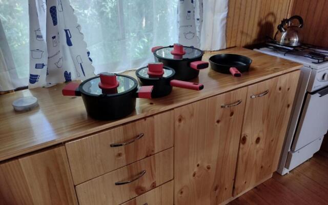 Entre Esteros Hornopiren