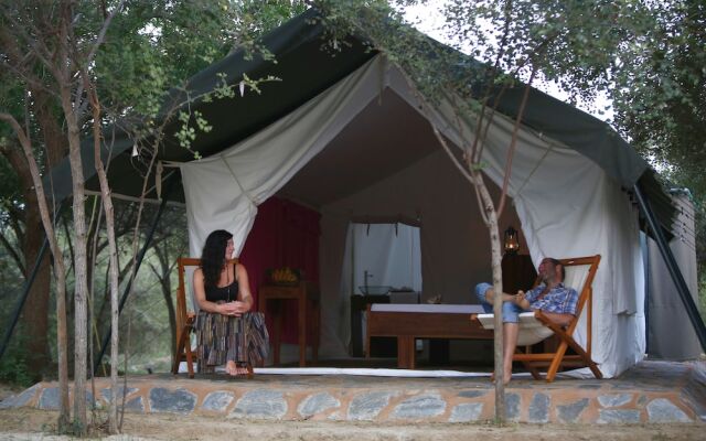 Yala National Park Camping