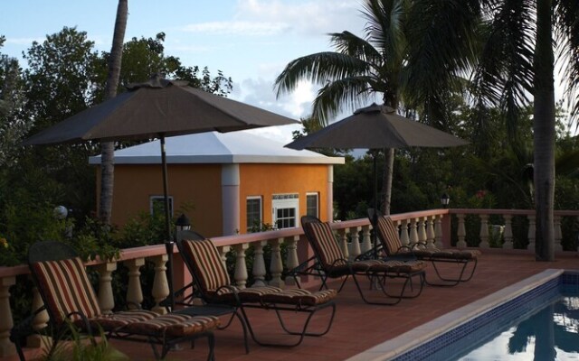Royal Palms