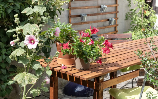 An der Gose - Gästezimmer & Appartement