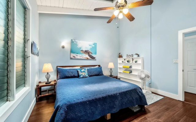 Koana Breeze