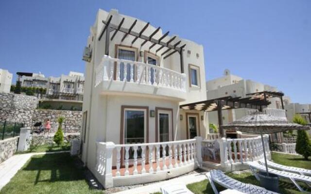 Important Group Turquoise Homes Residence Bd106
