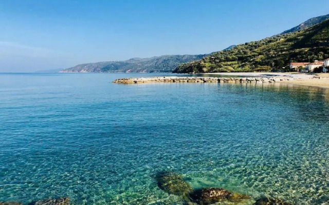 Beautiful Apt With Seaview Terrace