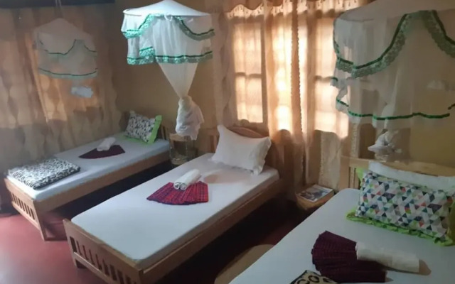 Adventures Nest - Hostel