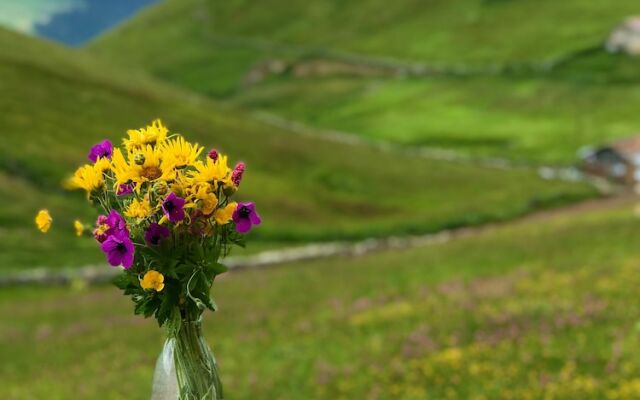 Karester Villa Apart